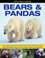 Book Cover for Bears & Pandas by Michael Bright