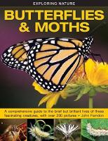 Book Cover for Butterflies and Moths by John Farndon