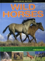 Book Cover for Wild Horses by Michael Bright