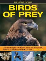 Book Cover for Birds of Prey by Robin Kerrod