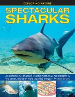 Book Cover for Spectacular Sharks by Michael Bright