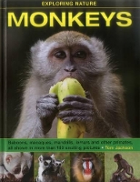 Book Cover for Monkeys by Tom Jackson