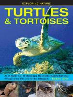 Book Cover for Turtles & Tortoises by Barbara Taylor