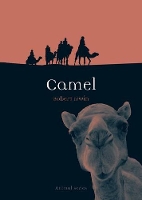 Book Cover for Camel by Robert Irwin