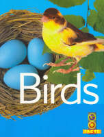 Book Cover for Birds by Paul McEvoy