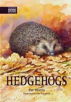 Book Cover for Hedgehogs by Pat Morris