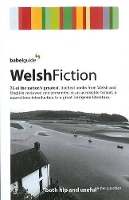 Book Cover for Babel Guide to Welsh Fiction by Ray Keenoy, Rhian Reynolds, Sionedd Rowlands