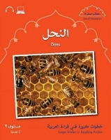 Book Cover for Small Wonders: Bees by Mahmoud Gaafar, Jane Wightwick