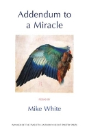 Book Cover for Addendum to a Miracle by Mike White