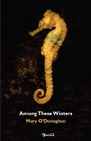 Book Cover for Among These Winters by Mary O'Donoghue