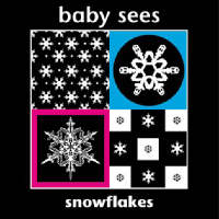 Book Cover for Snowflakes by Chez Picthall