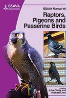 Book Cover for BSAVA Manual of Raptors, Pigeons and Passerine Birds by John Chitty