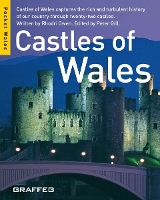 Book Cover for Castles of Wales (Pocket Wales) by Peter Gill