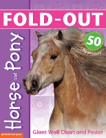 Book Cover for Fold-Out Poster Sticker Book: Horse & Pony by Chez Picthall