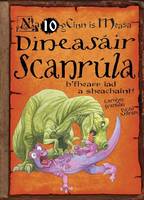 Book Cover for Dineasáir Scanrúla by Carolyn Franklin