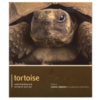 Book Cover for Tortoise - Pet Expert by Lance Jepson