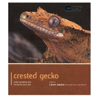 Book Cover for Crested Gecko - Pet Expert by Lance Jepson