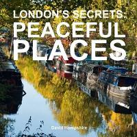 Book Cover for London's Secrets by David Hampshire