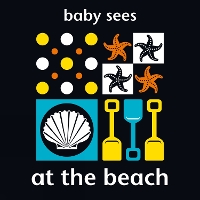 Book Cover for Baby Sees: At the Beach by Chez Picthall