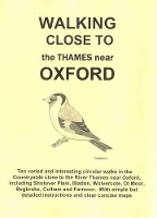 Book Cover for Walking Close to the Thames Near Oxford by Clive Brown