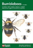 Book Cover for Bumblebees by Oliver E. Prys-Jones, Sarah A. Corbet, Dr. Mark Avery