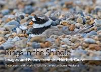 Book Cover for Rings in the Shingle by 