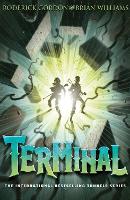 Book Cover for Terminal by Roderick Gordon, Brian Williams