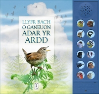 Book Cover for LLYFR BACH O GANEUON ADAR YR ARDD by Andrea Pinnington, Caz Buckingham