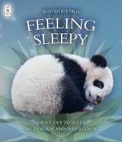 Book Cover for Feeling Sleepy by Andrea Pinnington, Caz Buckingham