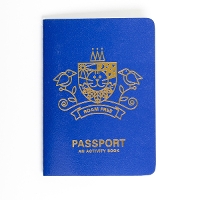 Book Cover for Passport by Robin Jacobs