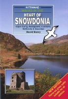 Book Cover for Walks in the Heart of Snowdonia by David Berry