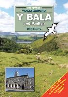 Book Cover for Walks Around y Bala and Penllyn by David Berry