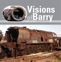 Book Cover for Visions of Barry by Jeffery Grayer