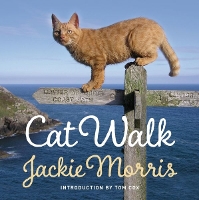 Book Cover for Cat Walk by Jackie Morris