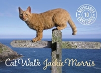 Book Cover for Cat Walk Notecards by Jackie Morris
