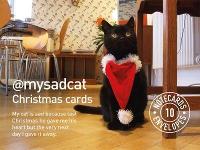 Book Cover for My Sad Cat Christmas Cards by Tom Cox