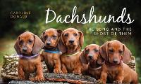 Book Cover for Dachshunds by Caroline Donald