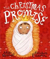 Book Cover for The Christmas Promise Storybook by Alison Mitchell