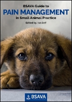 Book Cover for BSAVA Guide to Pain Management in Small Animal Practice by Ian (Nottingham Veterinary School, Nottingham, UK) Self
