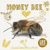 Book Cover for Life Cycle of A... Honey Bee by Grace Jones
