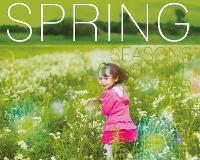 Book Cover for Spring by Harriet Brundle