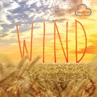 Book Cover for Wind by Harriet Brundle, Matt Rumbelow