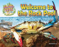 Book Cover for Welcome to the Rock Pool by Ruth Owen