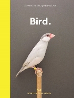 Book Cover for Bird. by Hoxton Mini Press