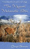 Book Cover for The Magical Midwinter Star by Jenny Chapman