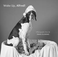 Book Cover for Wake Up, Alfred! by David Ellwand