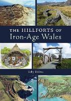 Book Cover for The Hillforts of Iron Age Wales by Toby Driver