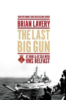 Book Cover for The Last Big Gun by Brian Lavery