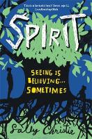 Book Cover for Spirit by Sally Christie