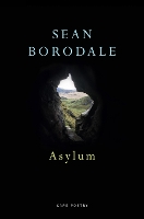 Book Cover for Asylum by Sean Borodale